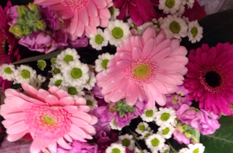 【任澎博士·点评】触碰心灵之香——董大远（芊柏集学员）