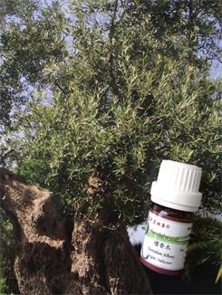 芳香疗法中几种常用安抚情绪的精油
