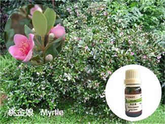 【任澎博士·点评】触碰心灵之香——董大远（芊柏集学员）