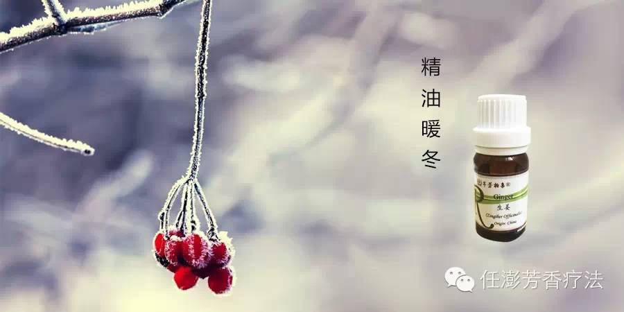 【芳香疗法 | 大寒】生姜精油，关节不疼，经期不痛 第 2 张