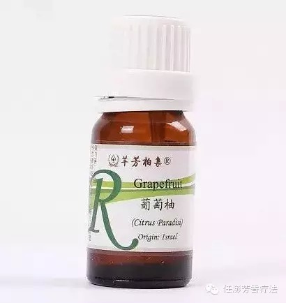 【芳香疗法 | 专栏】葡萄柚精油，信念减肥你也可以 第 4 张
