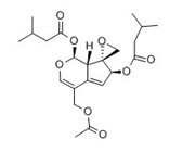 缬草有效抗抑郁、抗焦虑的专业研究 第 2 张