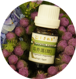 芳香疗法丨杉木和马乔莲的错过，一辈子的思念和后悔 第 4 张