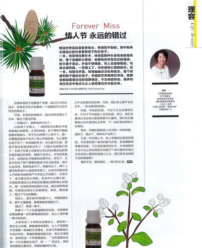 芳香疗法丨杉木和马乔莲的错过，一辈子的思念和后悔 第 5 张