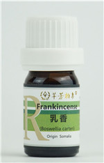乳香——穿越千年，渗入灵魂深处 第 2 张