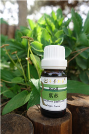 芳香疗法 | 认识芳疗师的必备油-紫苏 第 2 张