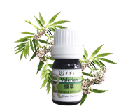 缬草精油具有抗癫痫作用 第 2 张