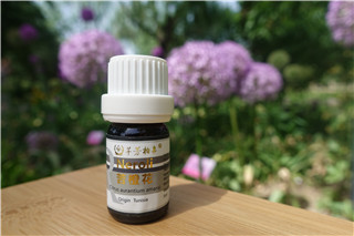 心脏外科专家谈急性胸痛，芳香疗法有可为！ 第 4 张