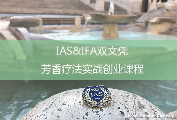IAS&IFA双文凭实战创业课程