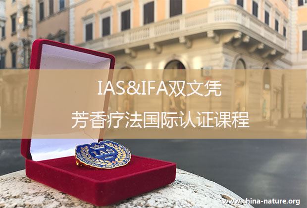 IAS&IFA双文凭国际认证课程