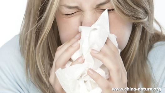IAS公益|芳香疗法防治过敏性鼻炎