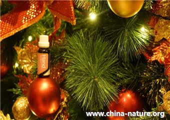 圣诞礼物攻略丨芳香疗法为你的节日增“香”添彩