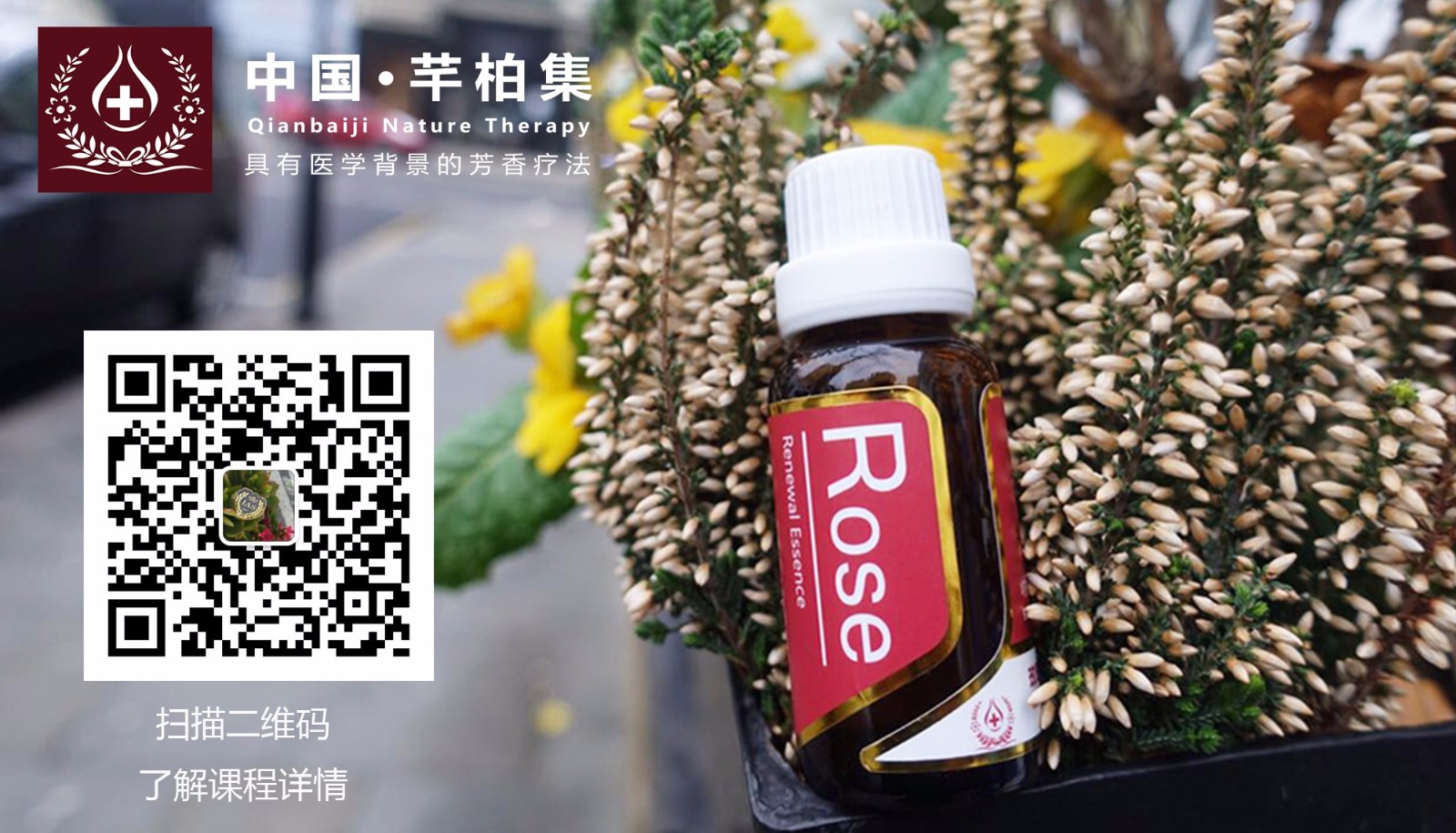 结尾微信公众号 玫瑰1.jpg