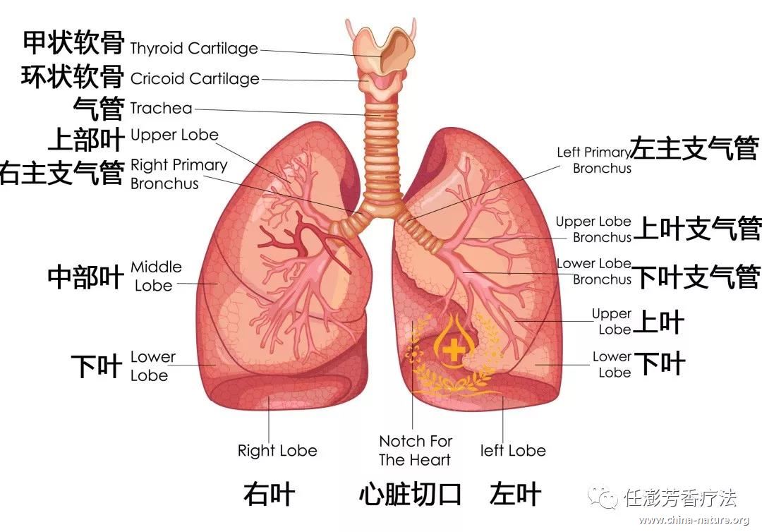 微信图片_20181112114258.jpg