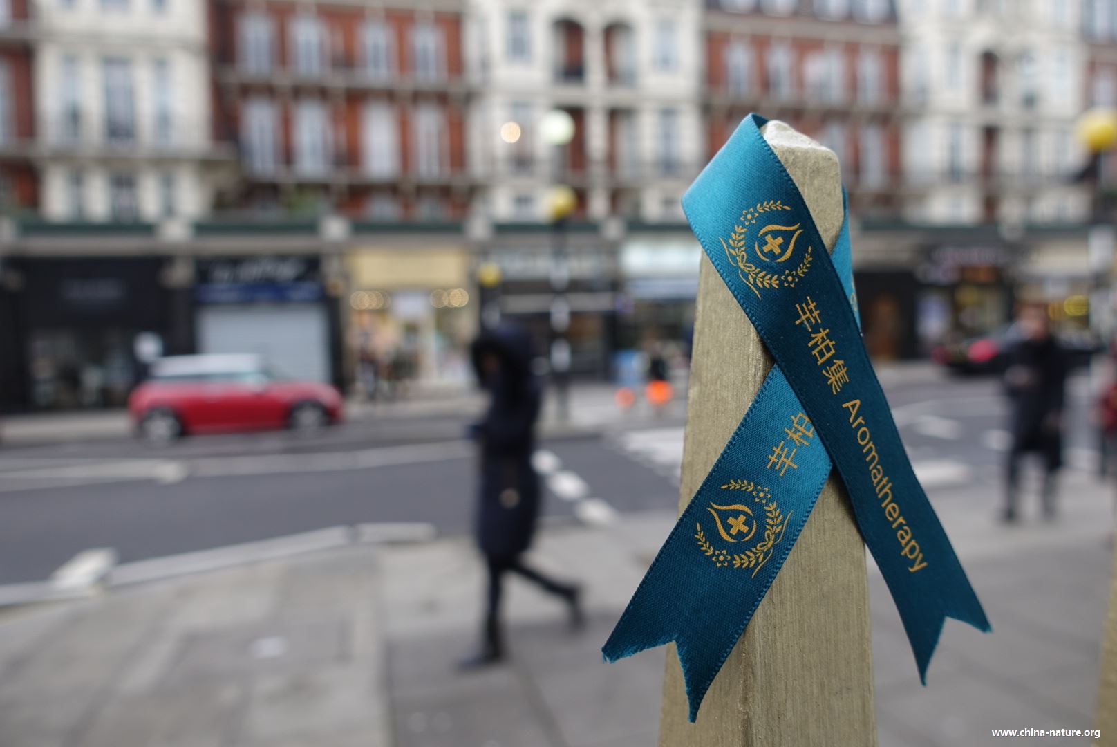 芊十年丨我的老师—学霸和少女心的Ren
