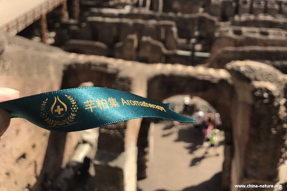 芊十年丨我的芳香疗法启蒙老师—任澎