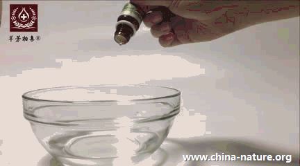 芳香疗法| 豆角中毒后自护理 第 3 张