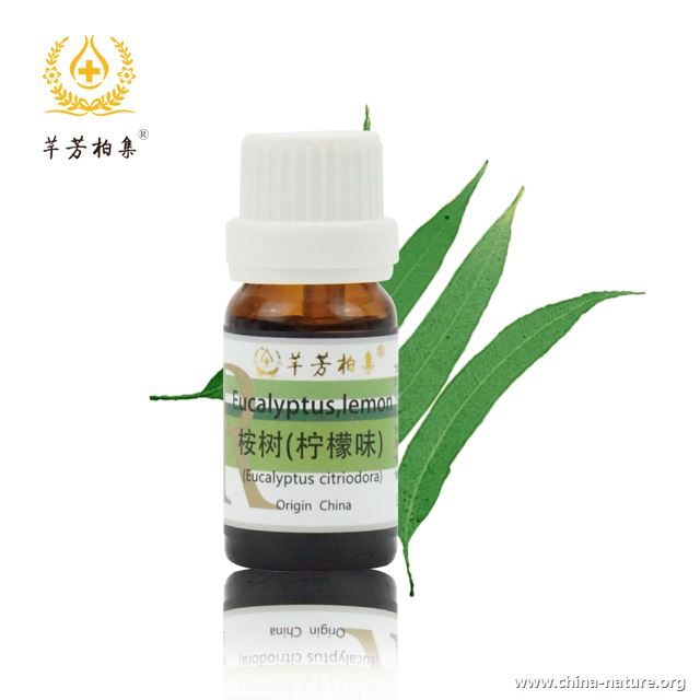 桉树柠檬.jpg