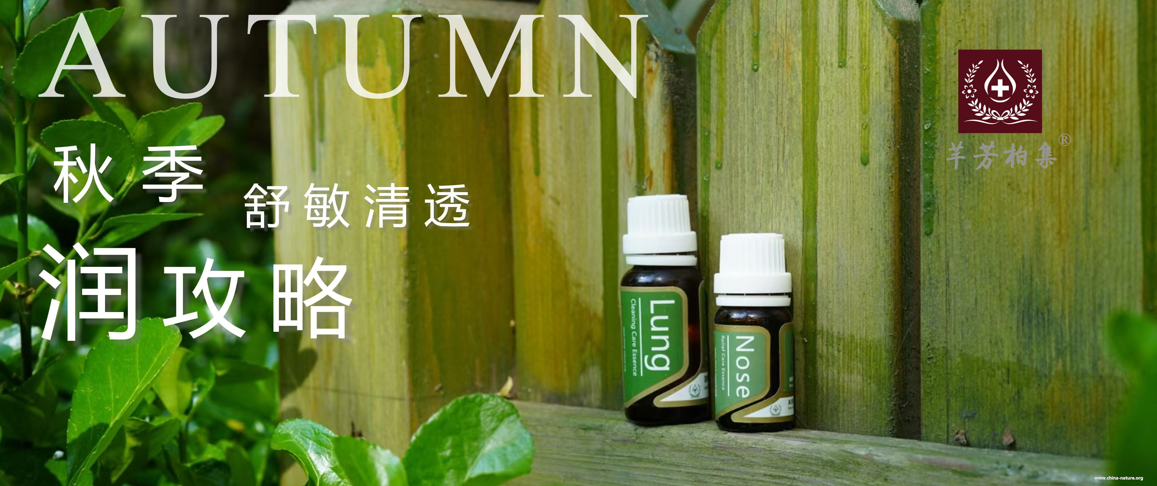 秋季“润”攻略，舒敏清透
