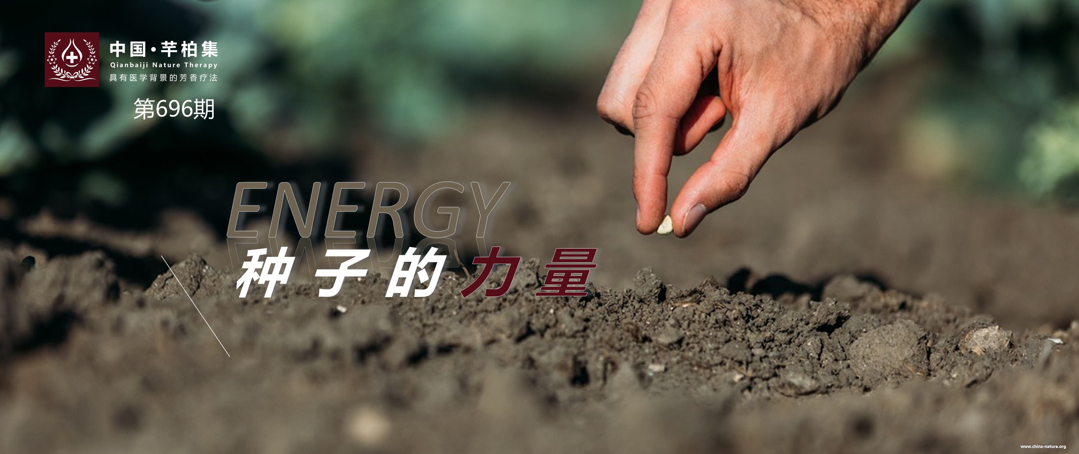 Energy 种子的力量