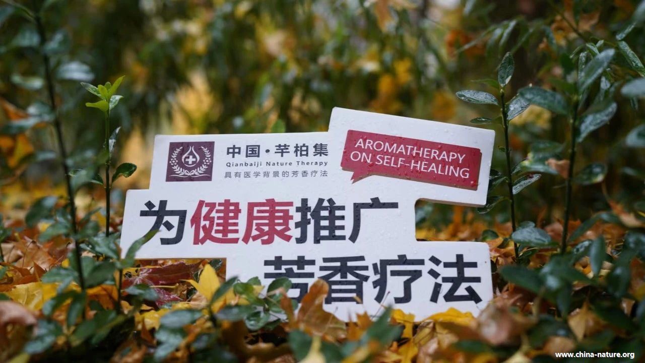 讲师班开课啦！芳香疗法健康自护理