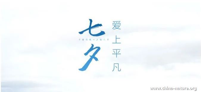 七夕，爱上平凡